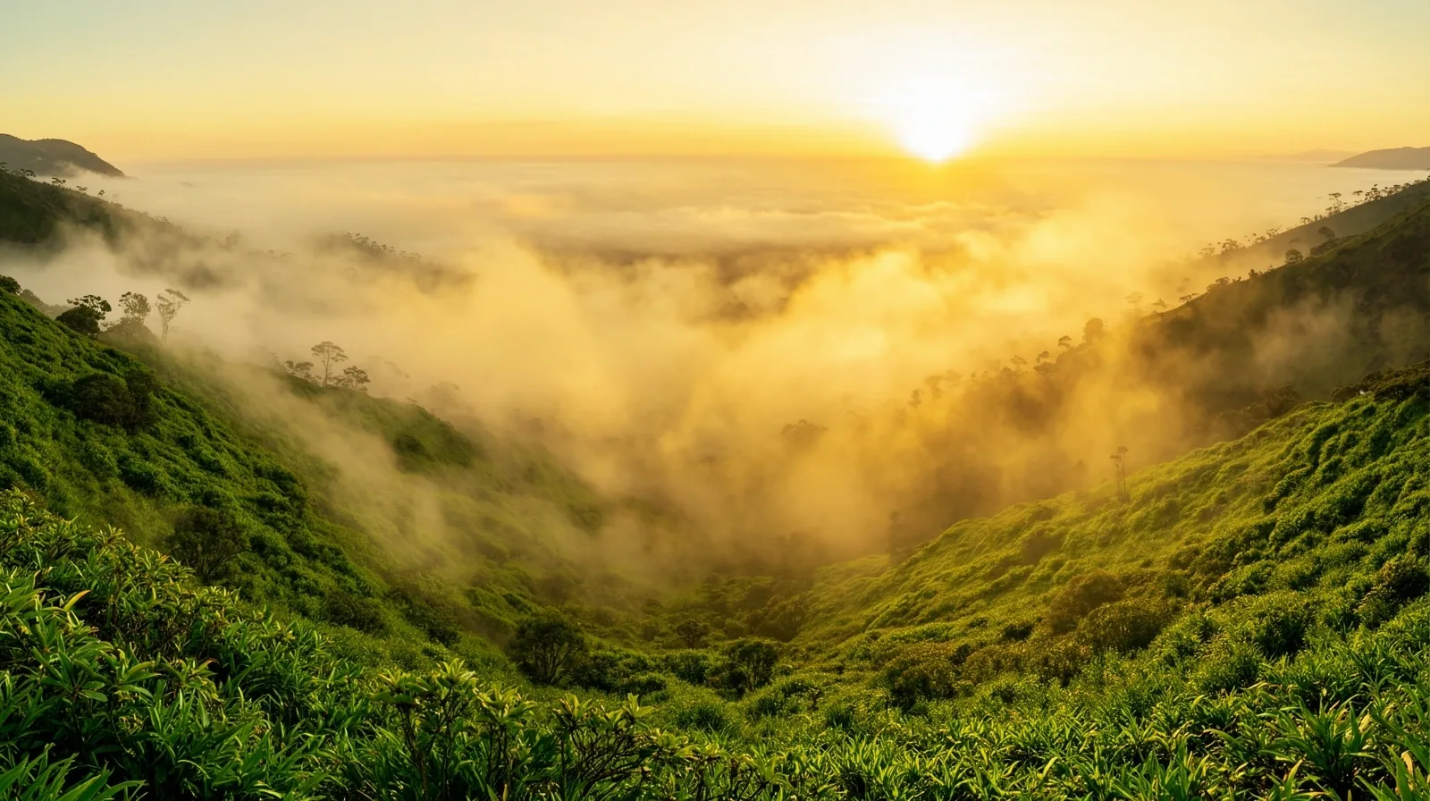 Paisaje andino al amanecer