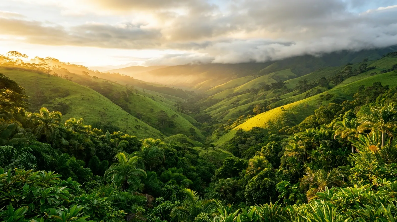 Paisaje andino colombiano