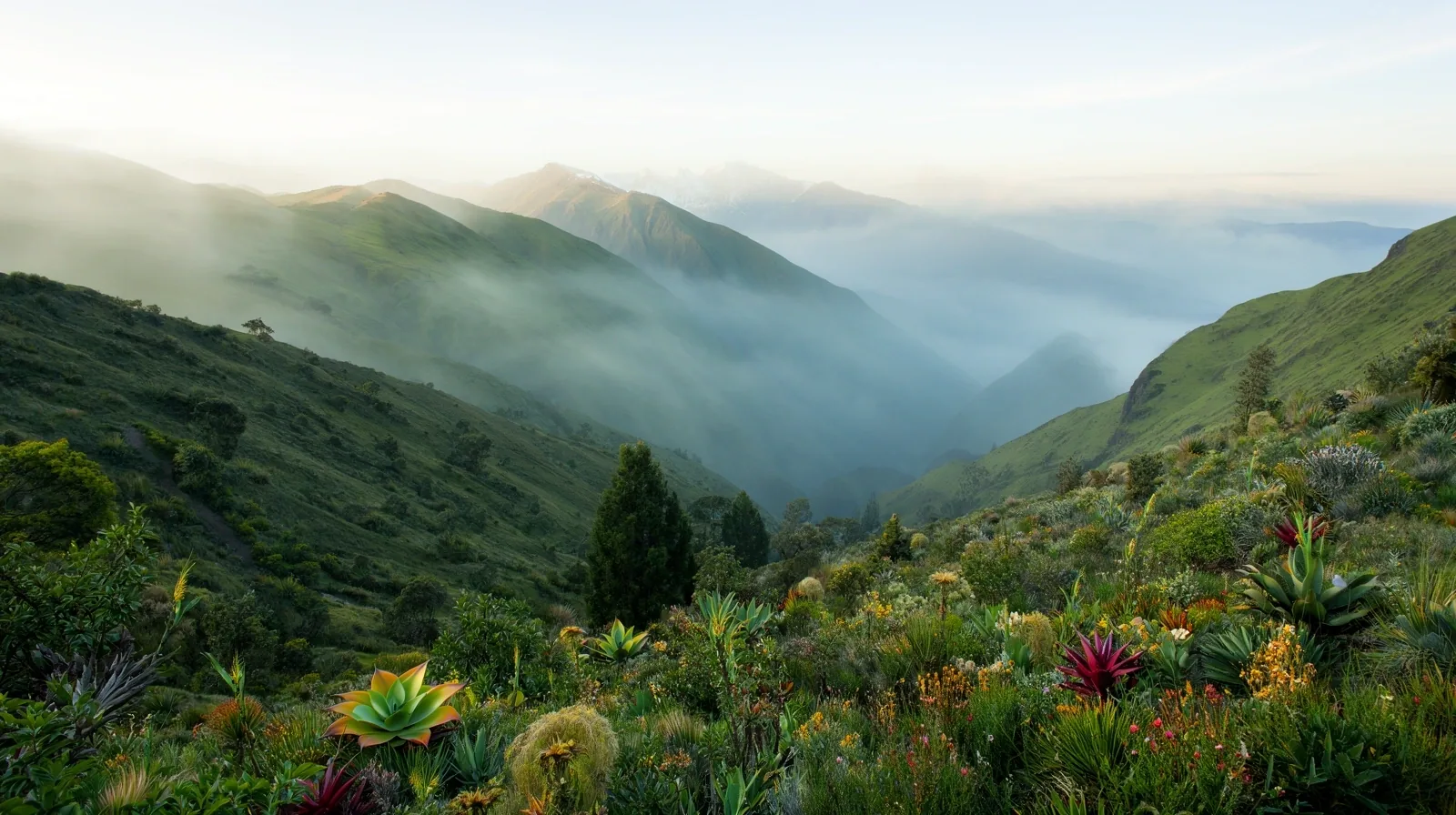 Paisaje natural Colombia